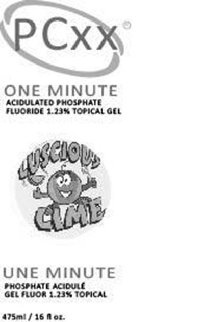 Pcxx One Minute Lm Front Panel (Pcxx One Minute Lm Front Panel)